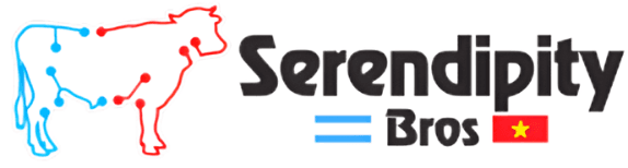 Serendipity OS